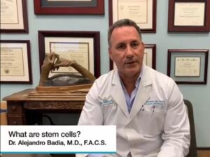 What are stem cells?