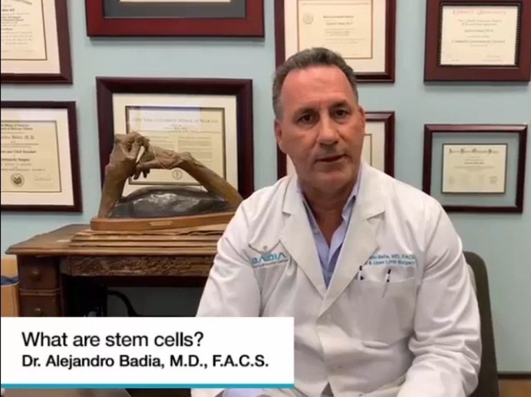 What are stem cells?