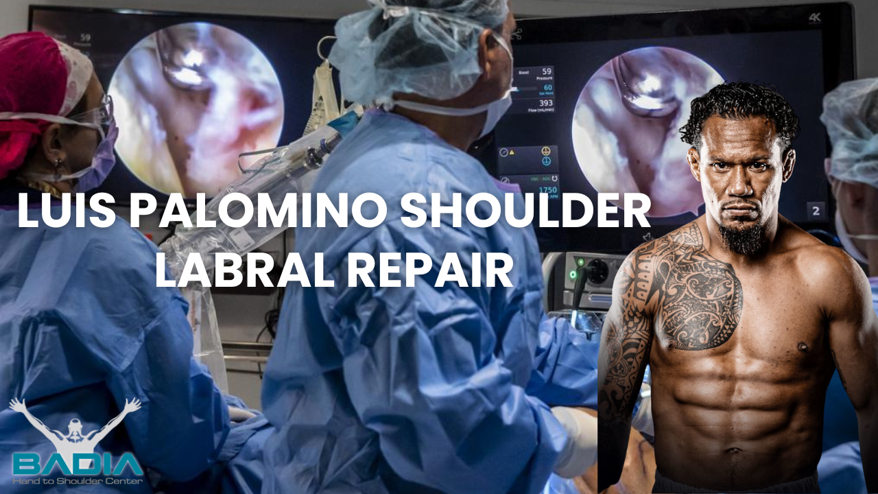 Luis Palomino shoulder labrum repair
