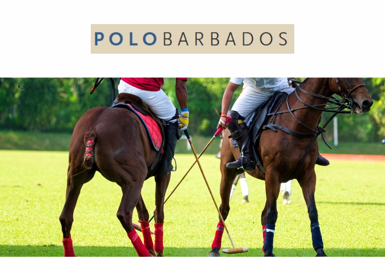 Polo & Equestrian Injuries to the Upper Limbs