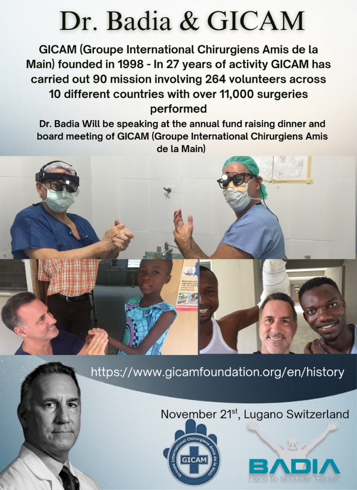 Dr. Badia & GICAM 2025